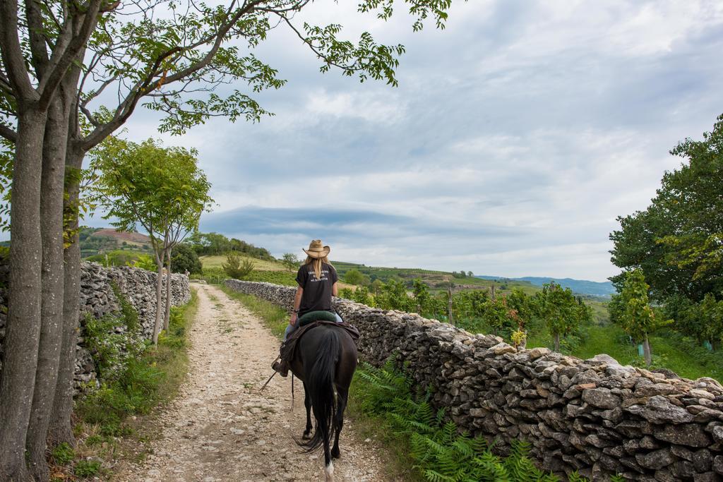 Casa Costa Relais B&B Monteforte dʼAlpone Екстериор снимка