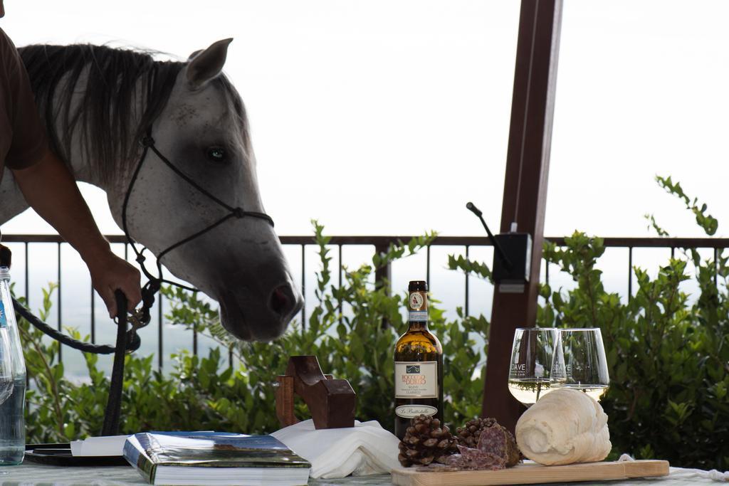 Casa Costa Relais B&B Monteforte dʼAlpone Екстериор снимка