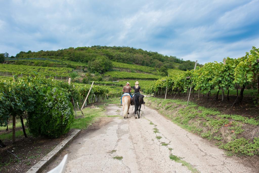 Casa Costa Relais B&B Monteforte dʼAlpone Екстериор снимка
