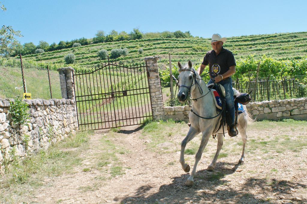Casa Costa Relais B&B Monteforte dʼAlpone Екстериор снимка