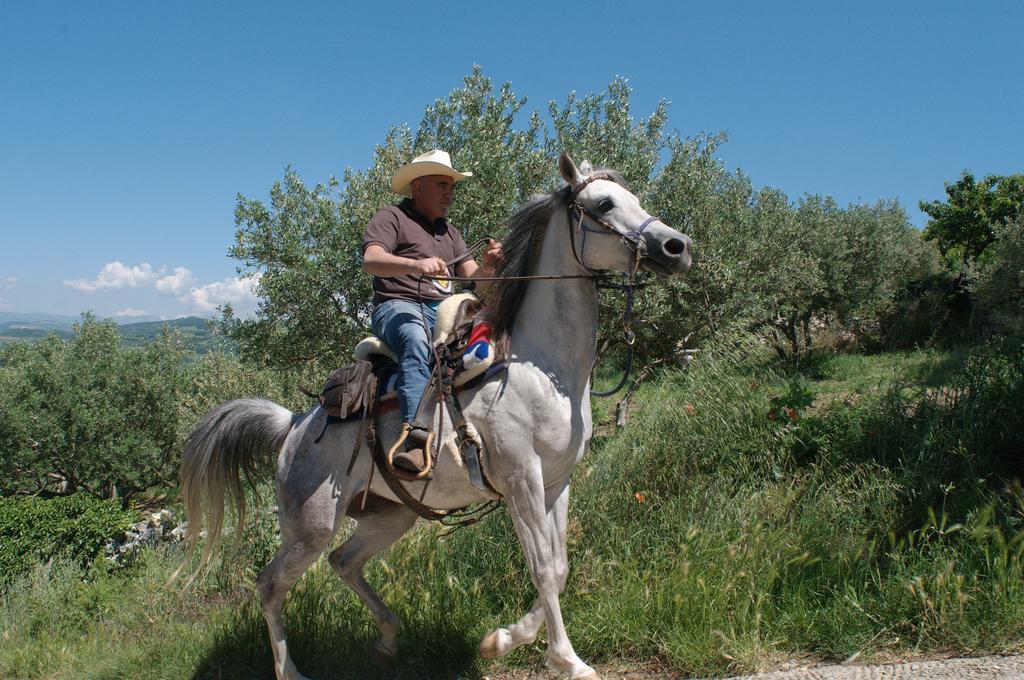 Casa Costa Relais B&B Monteforte dʼAlpone Екстериор снимка