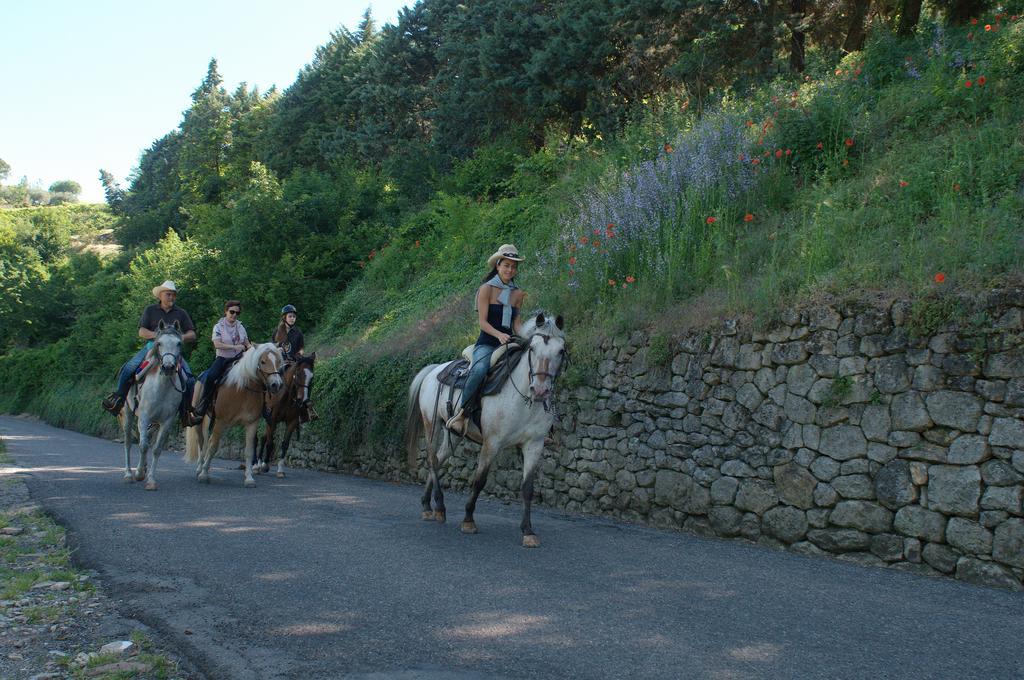 Casa Costa Relais B&B Monteforte dʼAlpone Екстериор снимка