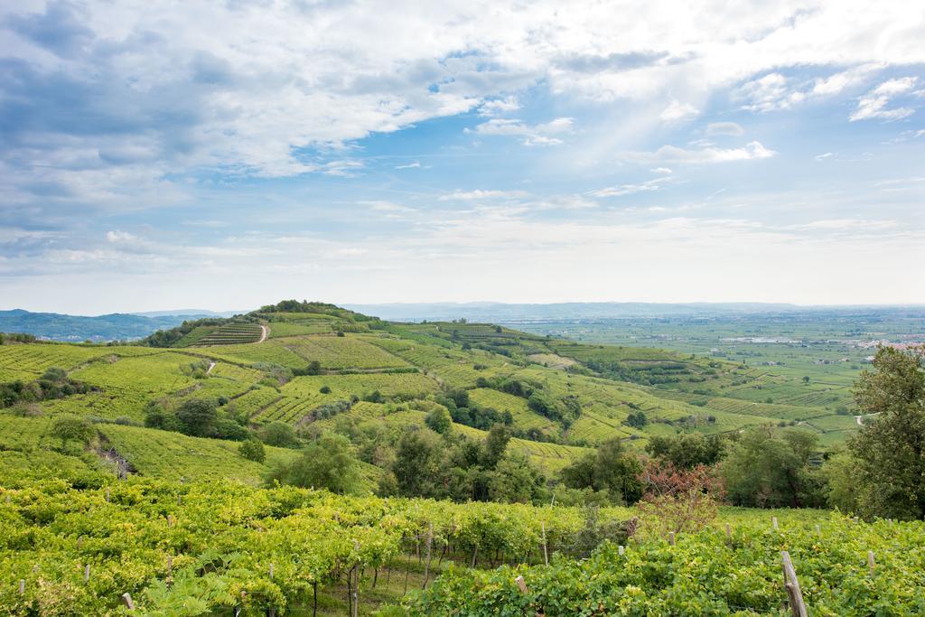Casa Costa Relais B&B Monteforte dʼAlpone Екстериор снимка